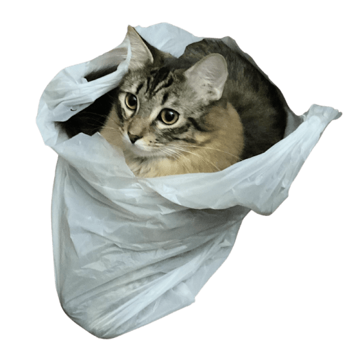 Page is on the way&nbsp;soon